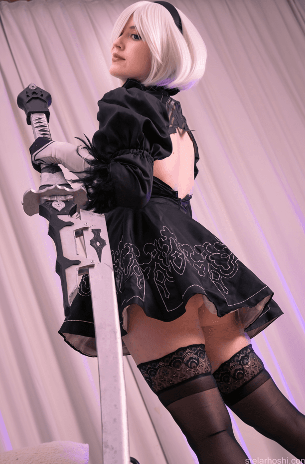 stelarhoshi cosplay set